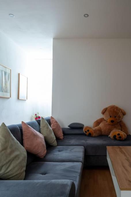 Apartment Spacious Belvedere *